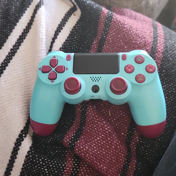 Ps4 controller best sale 2nd hand